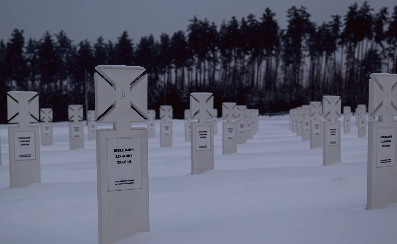 Директор військового кладовища розкрив секрет розташування секторів Героїв на височинах, незайманих водою