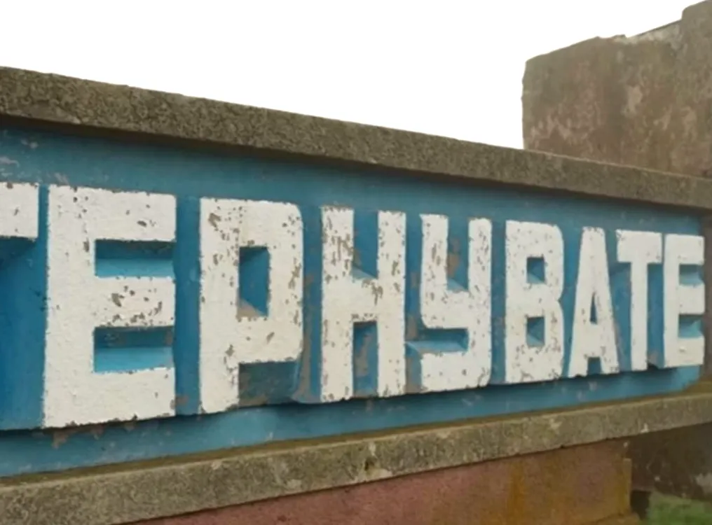 Тернувате звільнено: ЗСУ витіснили окупантів із стратегічного селища на Запоріжжі
