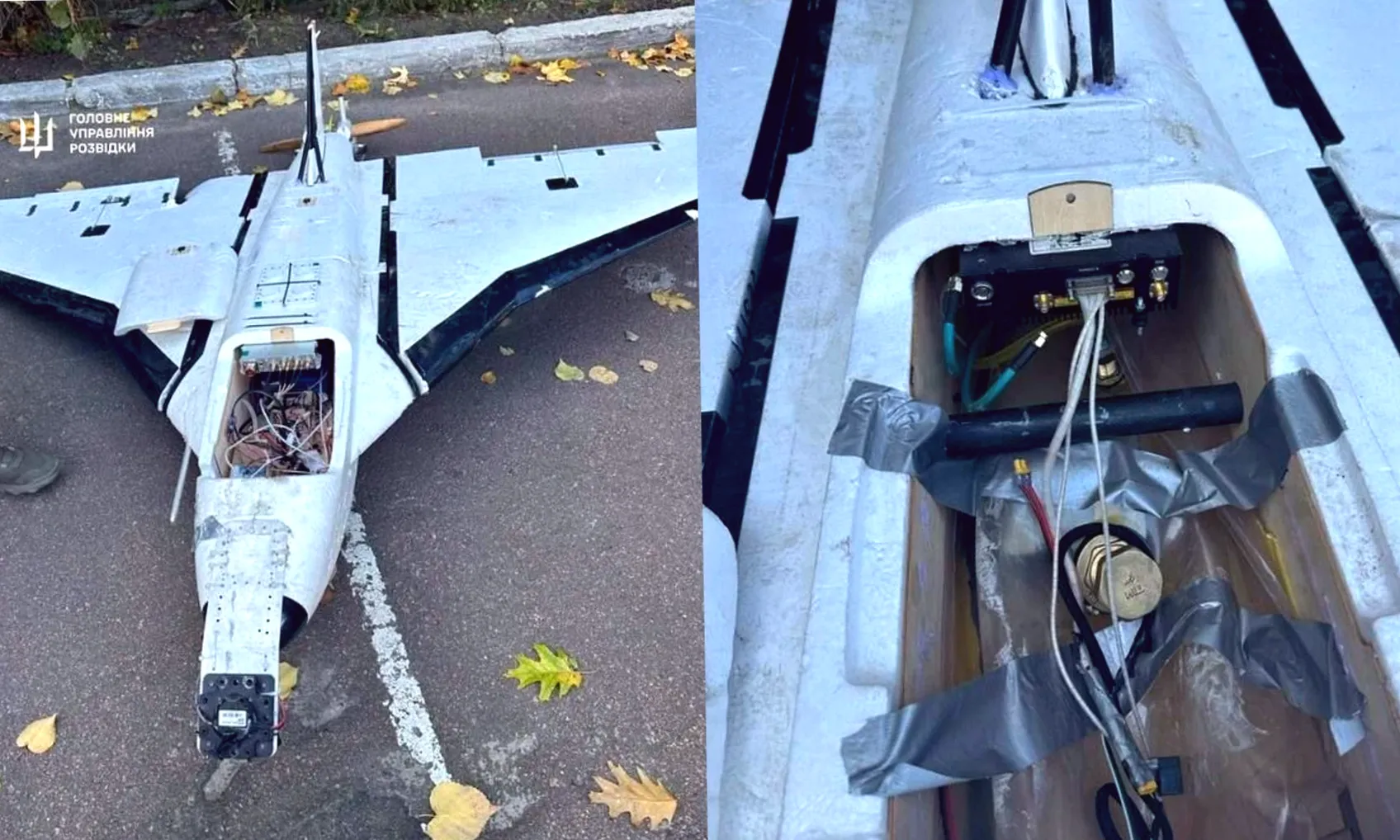 Росіяни запускають FPV-дрон з безпілотника Гербера — відео моменту