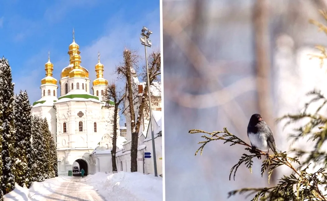 11 лютого: яке церковне свято сьогодні та що зробити, аби рік минув у достатку