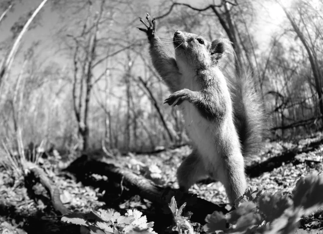 Завтра Київ здивує: температура досягне 15 градусів!