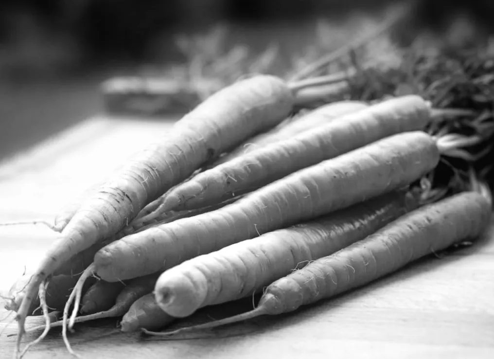 Ціни пішли вгору: популярний овоч в Україні несподівано подорожчав — нові цифри