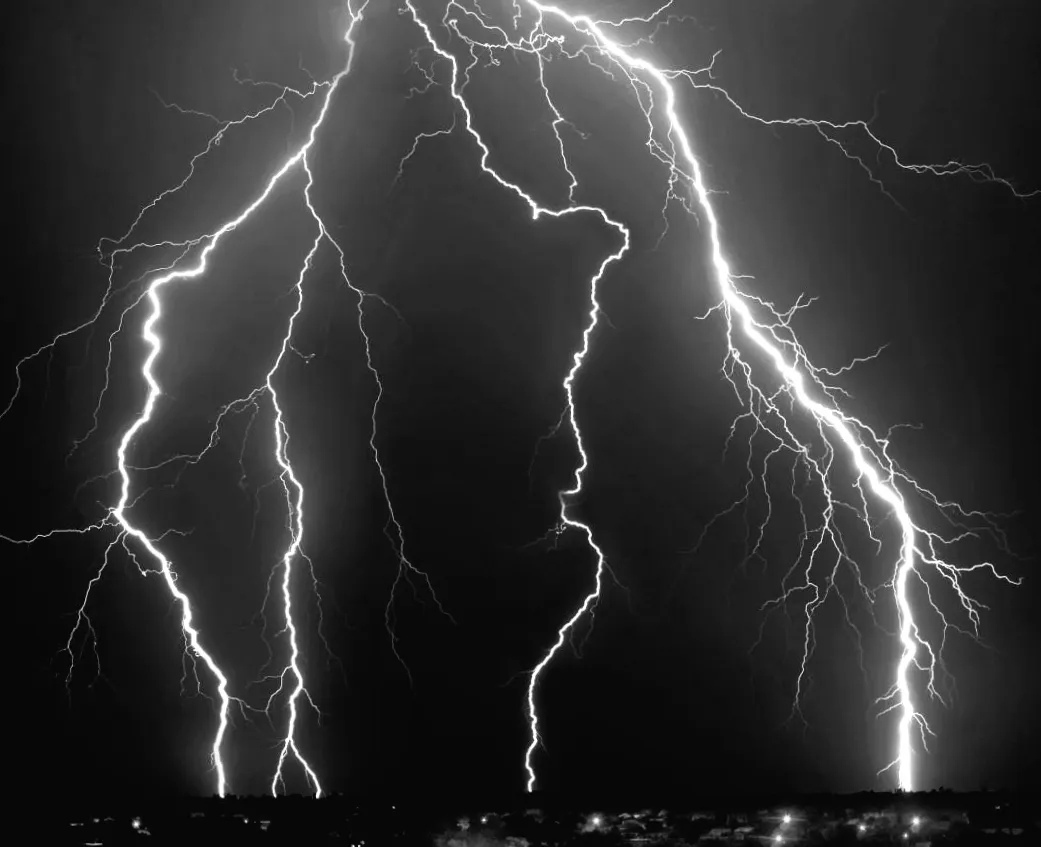 Дерева під час грози випромінюють електричні іскри — неймовірне відкриття вчених