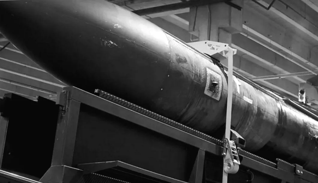 Ракета Фламінго: чому вона лякає не лише ворогів, а й союзників — думка експерта