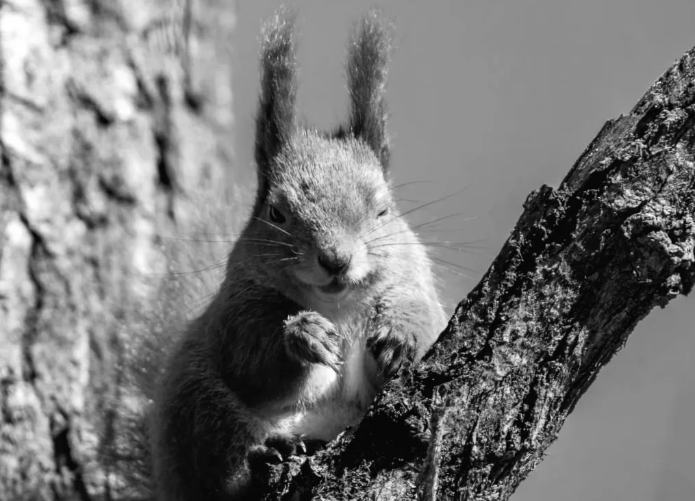 Середина тижня принесе Києву +14°: як погода здивує?