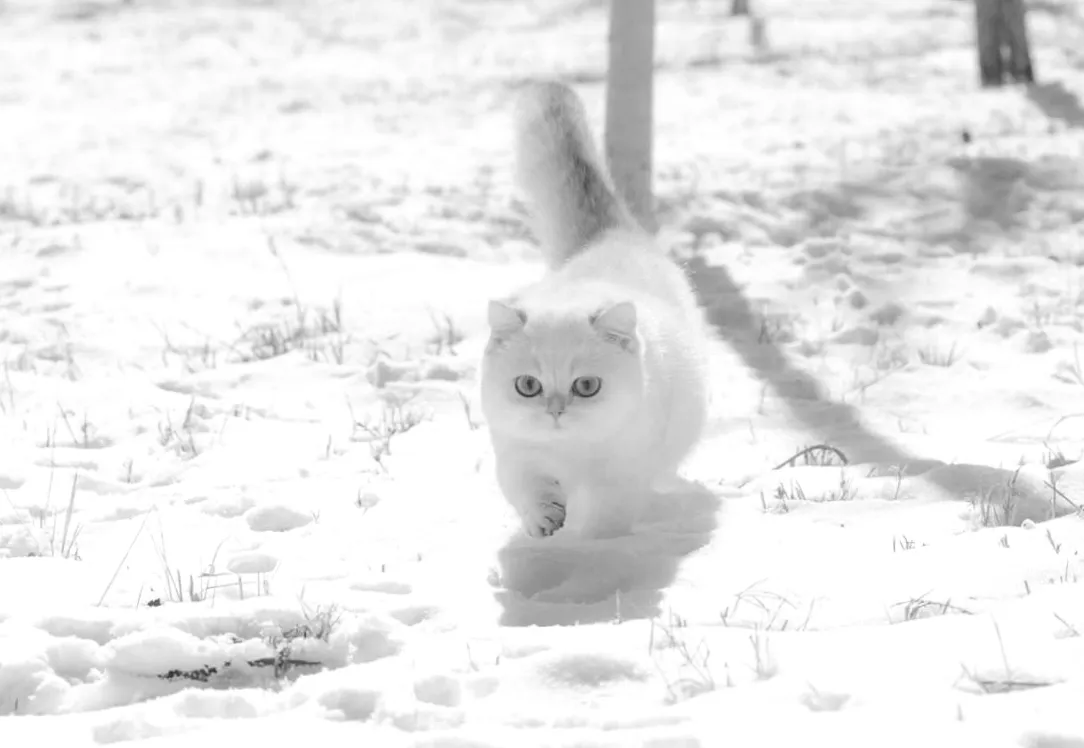 21 січня в Україні очікується підвищення температури до плюсів: де найбільше потеплішає