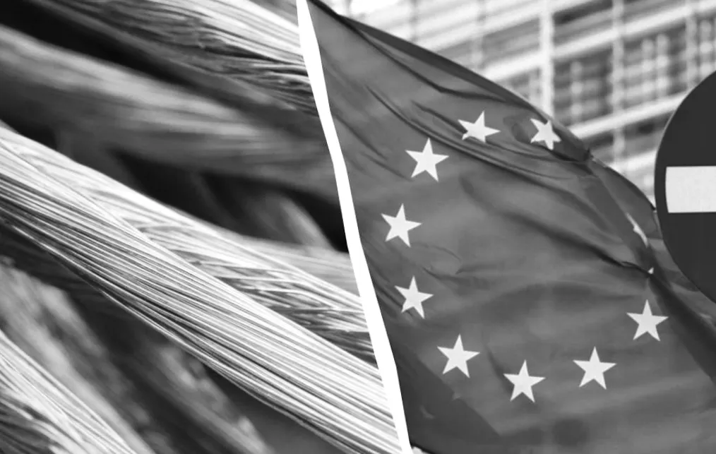 ЄС на порозі нових санкцій проти РФ: які метали опиняться під забороною?