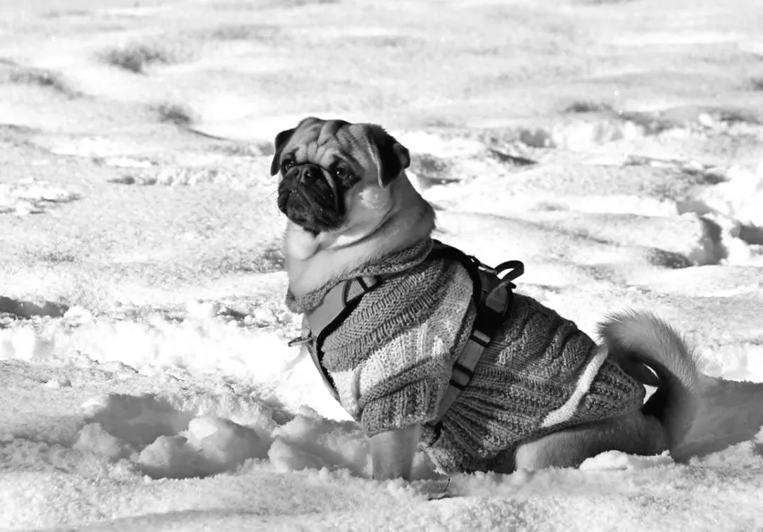 Холодна пастка: синоптикиня розповіла, скільки триватиме мороз в Україні