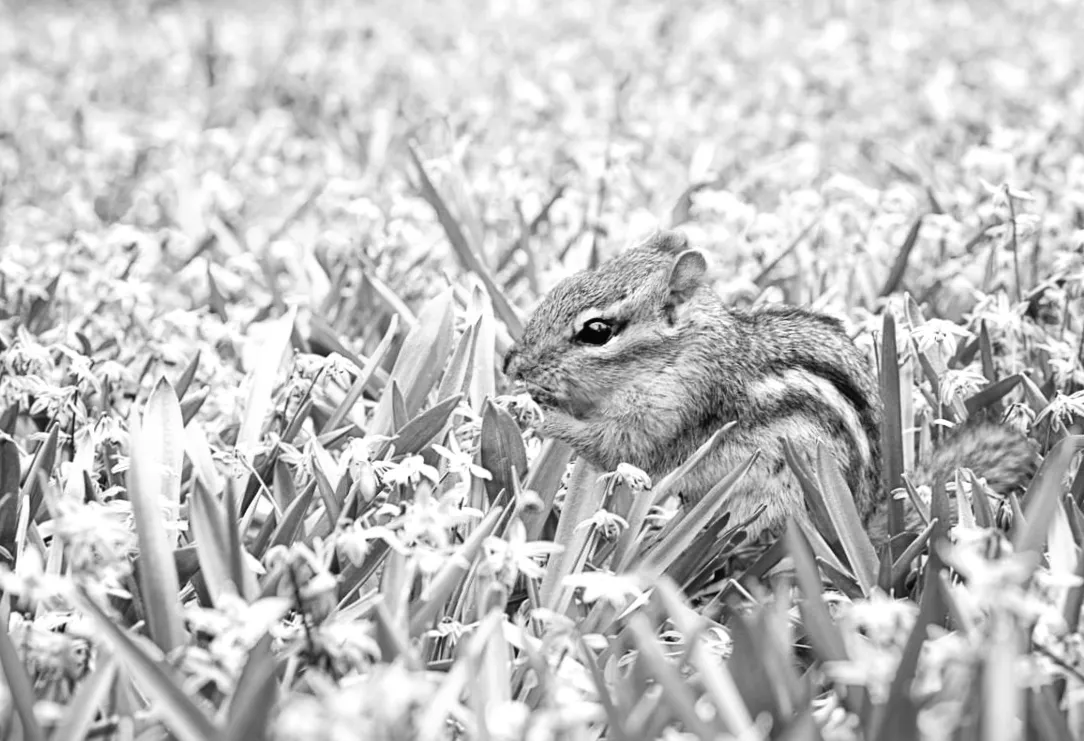 Майже 20 градусів тепла: коли Україну чекатиме справжнє потепління — прогноз синоптика
