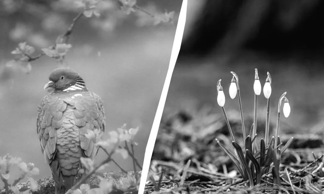 6 березня в Україні: традиція поминання померлих та її таємниці