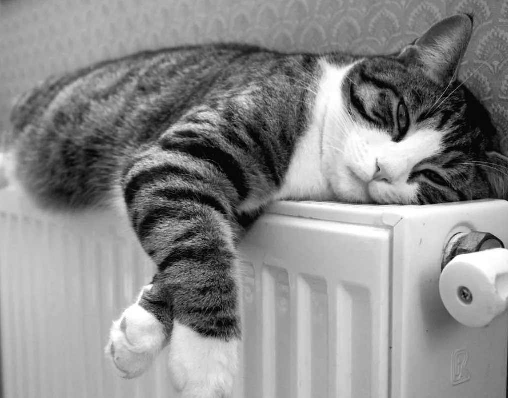 Є ефективніший спосіб, ніж фольга за батарею: що варто спробувати?