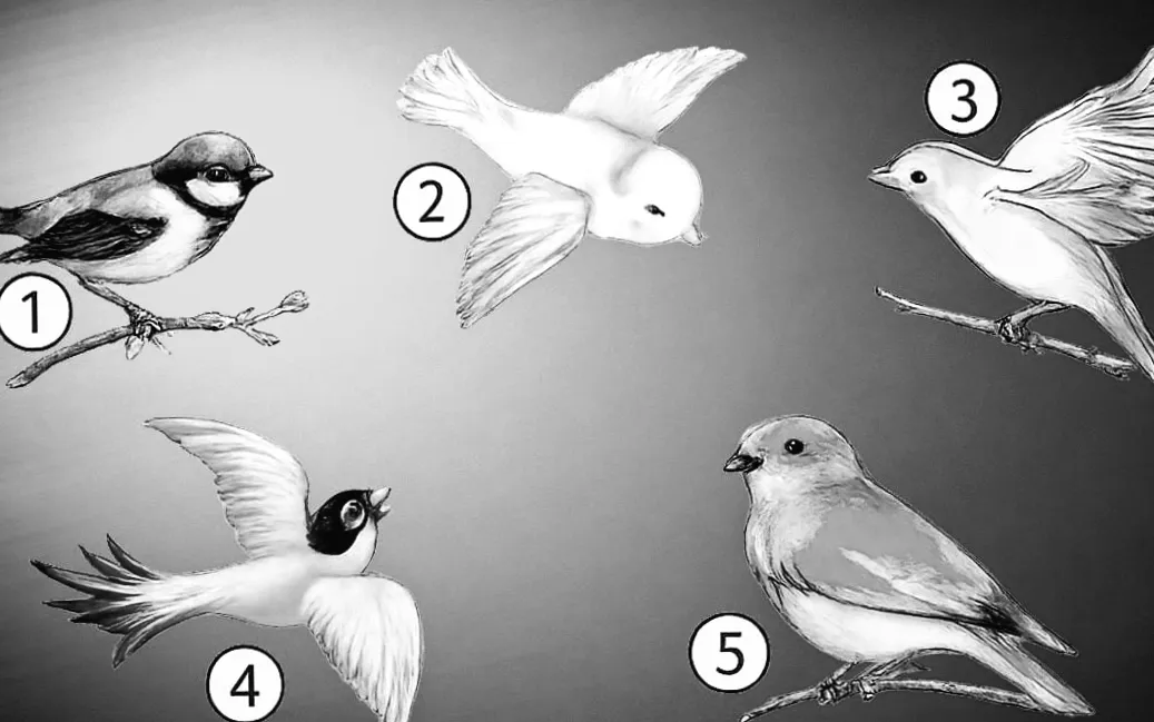 Тест на зв'язок з близькими: що розкажуть ваші вибори?