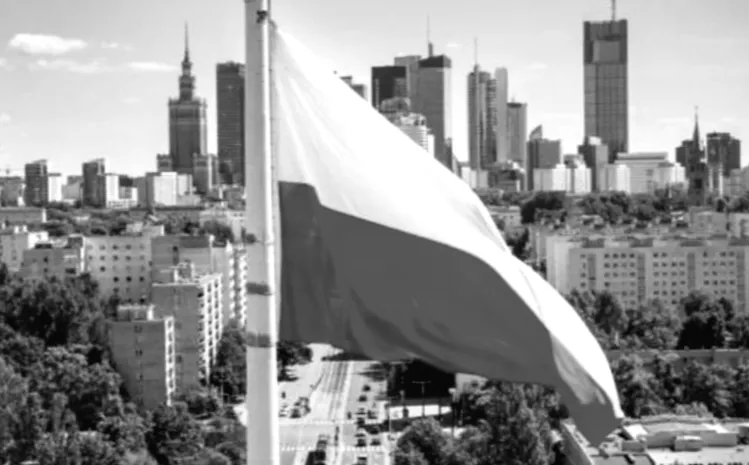 Польща залишає Оттавську конвенцію: що це означає для заборони протипіхотних мін?