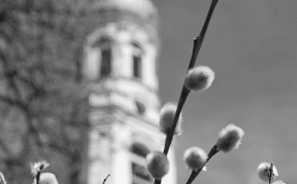 8 березня: таємні обряди та подарунки, які принесуть жінкам щастя у дім