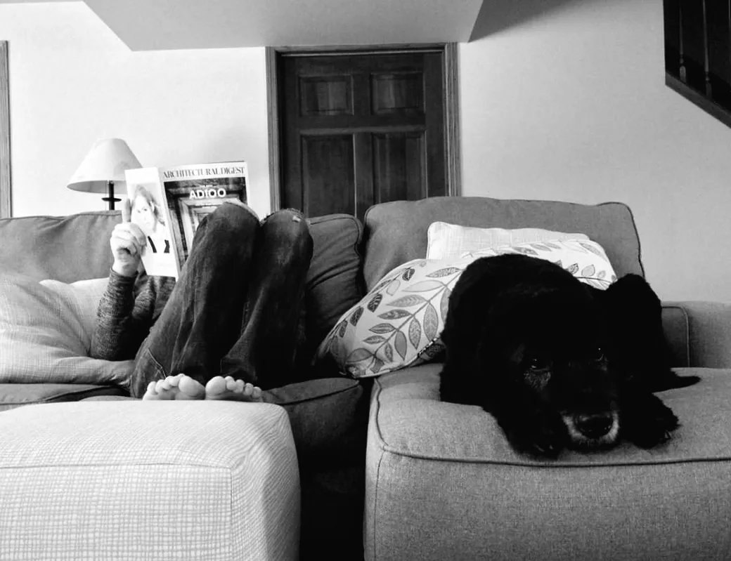 Собаки та таємний вплив на повітря у вашому домі — нові відкриття дослідників