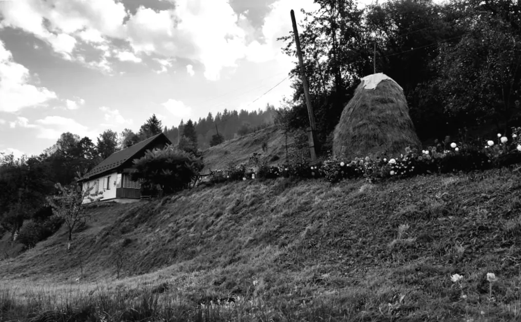 Внутрішній туризм в Україні у 2025: місця та побажання подорожуючих