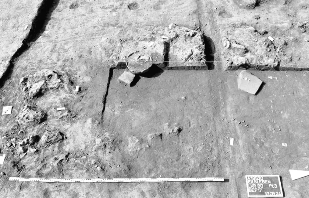 У Німеччині виявили головний убір з оленячого черепа віком 7500 років: що приховує давнє відкриття?