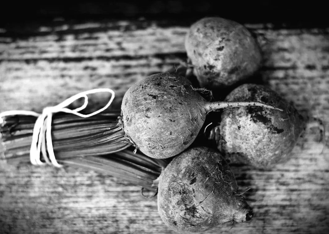 Ціни на буряк в Україні стрімко зросли: ринок у лихоманці