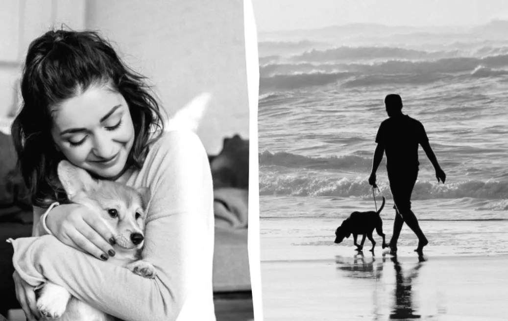 Крім собак, є й інші тварини, які розуміють людей без слів - дослідження