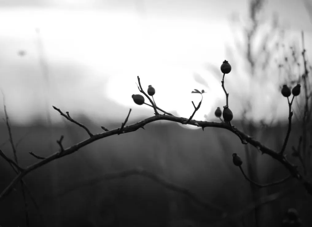 Весняне рівнодення 2026: секрети, що визначать ваш успіх у році