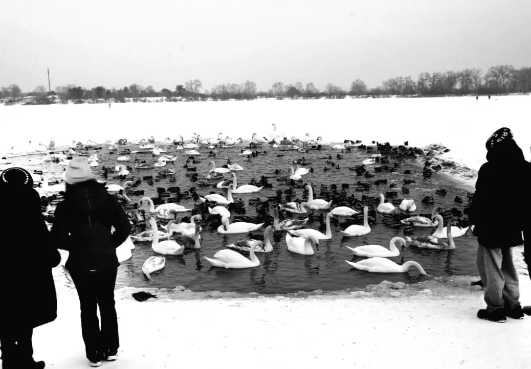 З 22 січня погода в Києві почне змінюватися