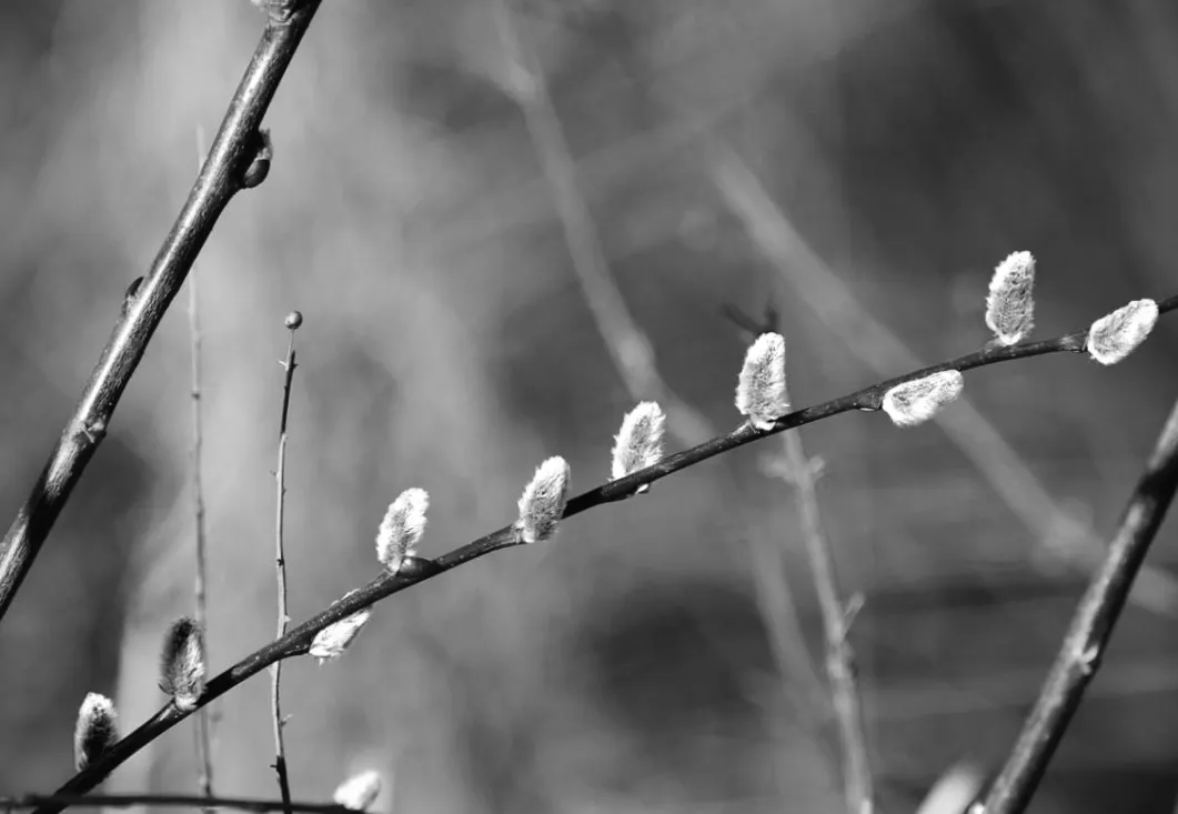 П’ятниця порадує теплом, але холод наближається — що прогнозують синоптики