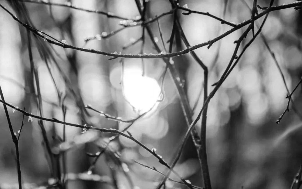 10 березня Україну охопить весняне тепло