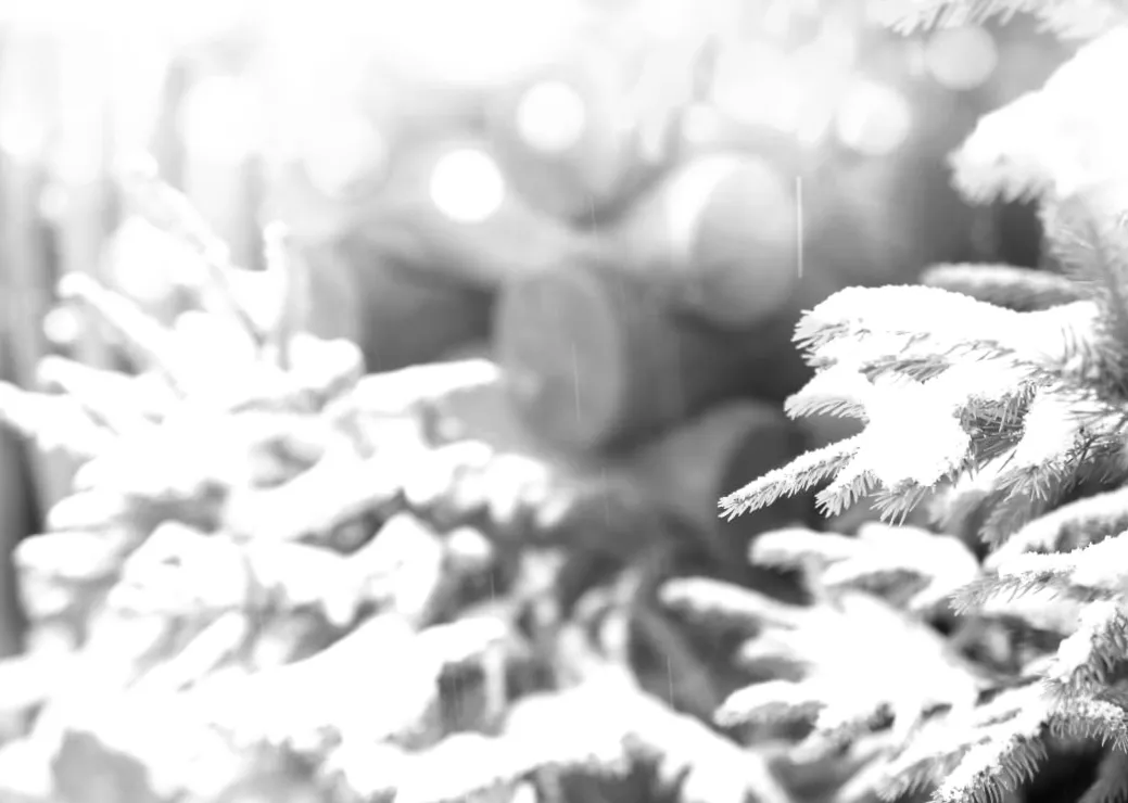 На Украину идет долгожданное потепление, но радоваться рано - прогноз синоптиков