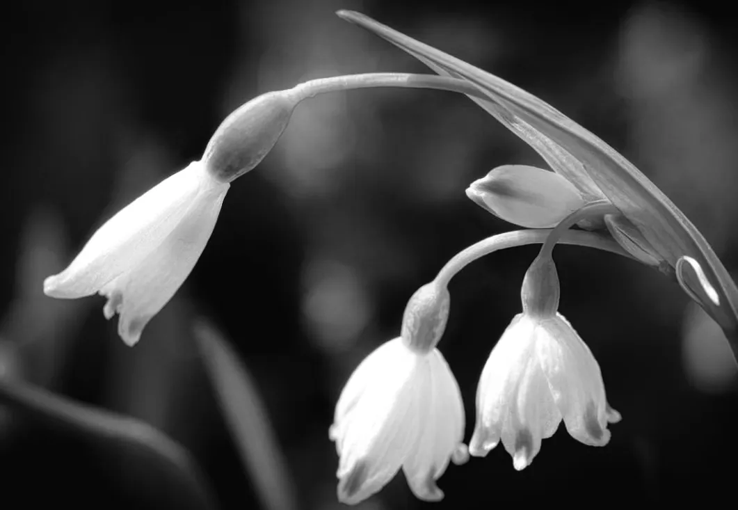 Майже літо: Україну цього тижня накриють теплі +18° – що чекати від погоди?