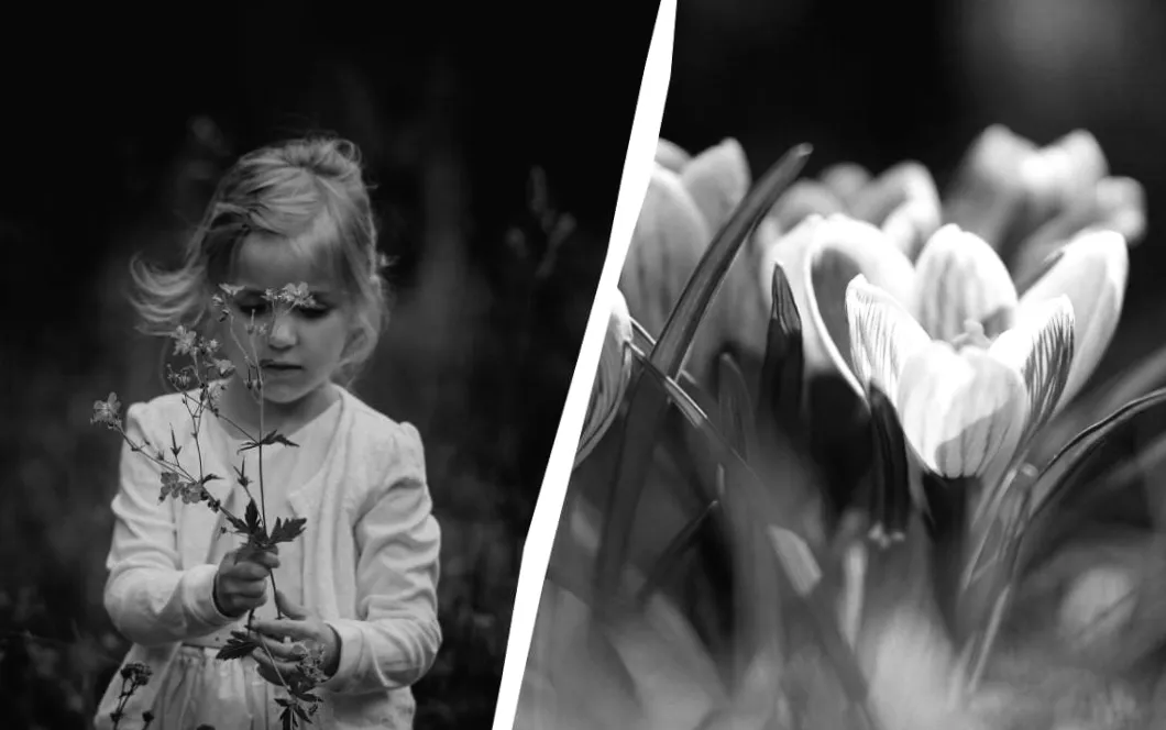 9 березня в Україні: таємниці Шевченка та особливе печиво, яке готують усі