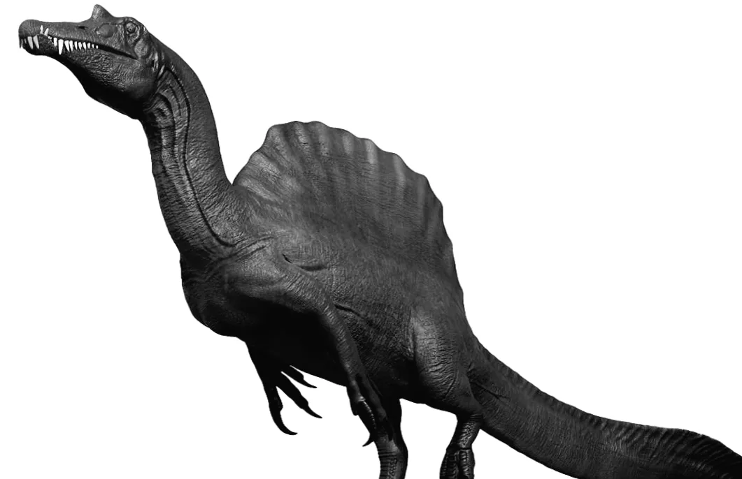 Неймовірне вітрило і загадковий череп: біолог відкрив таємниці найбільш незвичайного динозавра