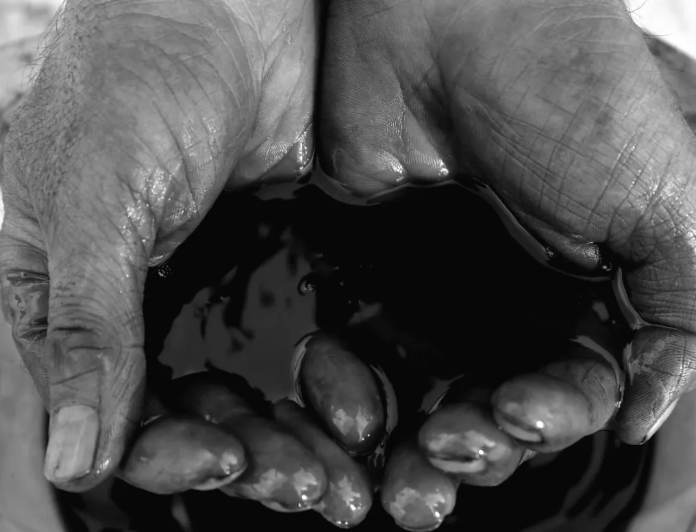 Ринок нафти готується до несподіваного полегшення: рекордні поставки з резервів змінять гру