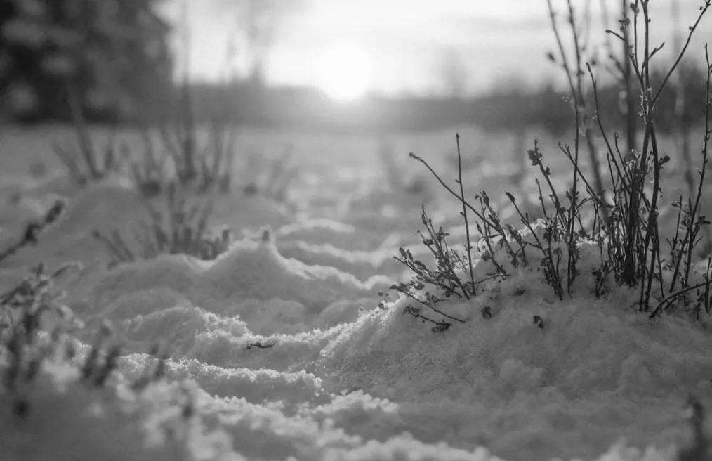 20 січня українців радуватиме зимове сонце, але тепла мало буде.