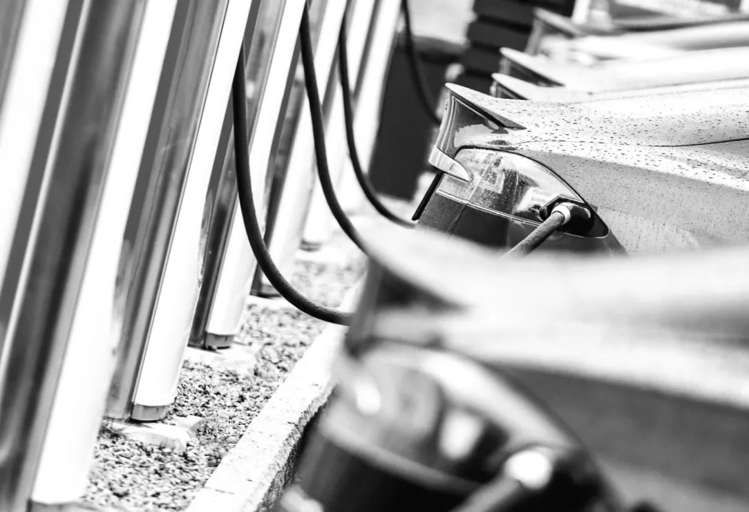 Український авторинок переживає несподіваний ренесанс: що змінилося назавжди