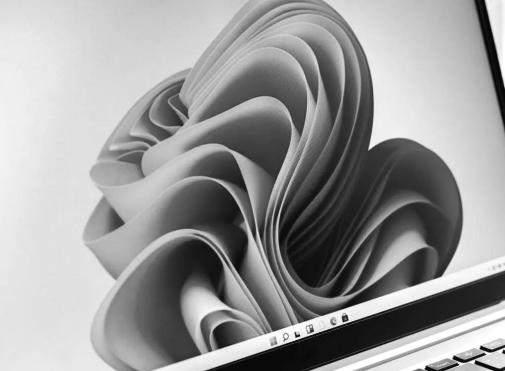 Windows 11 набирає обертів: скільки користувачів вже зробили перехід на нову операційну систему?