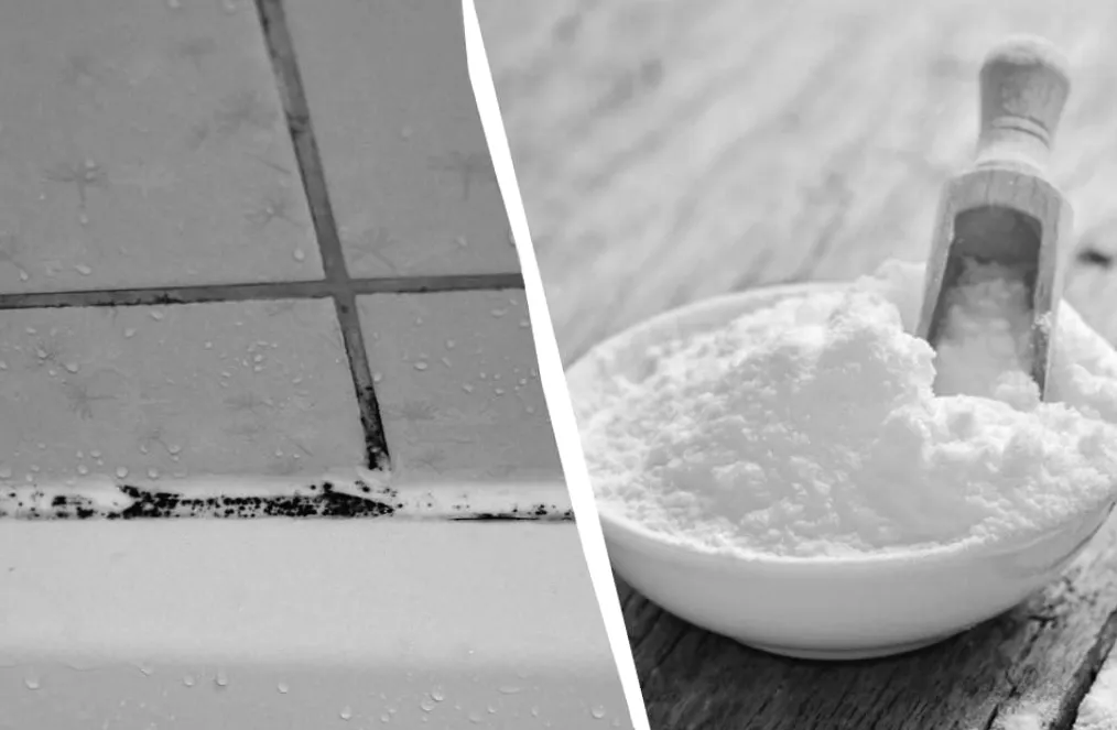 Шви на плитці перетворюють за 30 хвилин: порошок, який знищує грибок назавжди