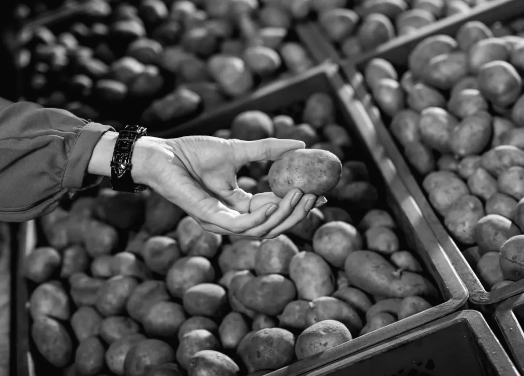 Картопля підскочила в ціні в Україні: що впливає на вартість зараз