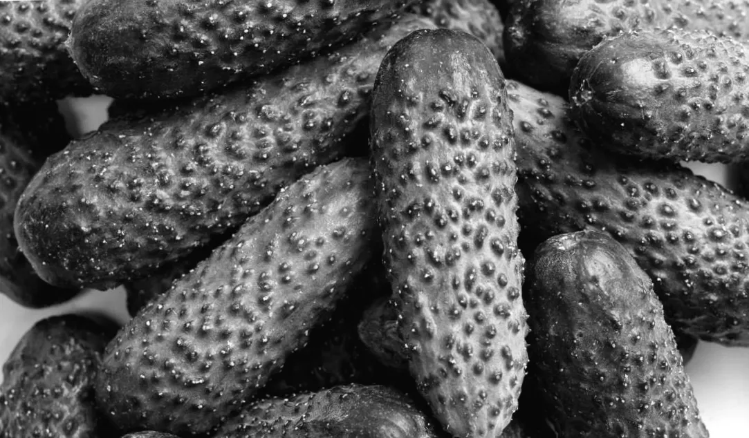 Огірки в Україні подорожчали на 50%: скільки вони коштуватимуть далі?