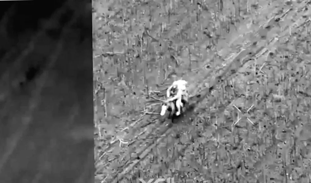 На конях до перемоги: як росіяни змінюють тактику на фронті, згідно з Forbes