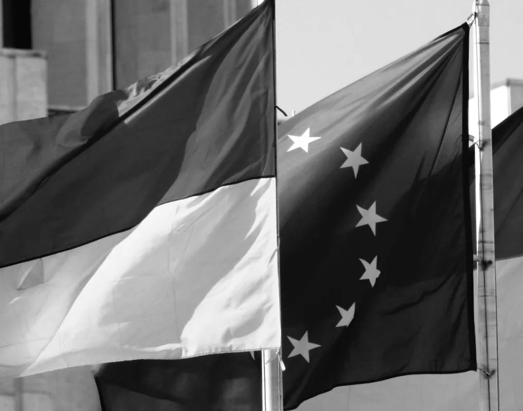 ЄС вагається щодо швидкого вступу України: що саме турбує Брюссель?