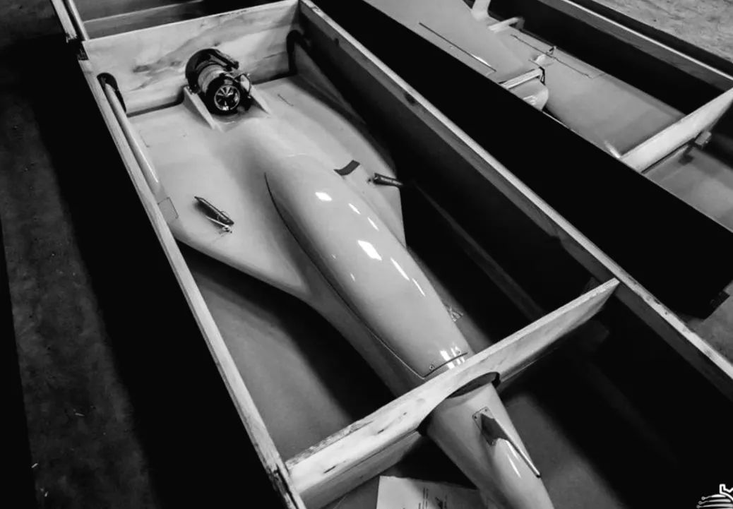 ЗМІ повідомляють про закупівлю Індією ударних безпілотників від білоруського виробника