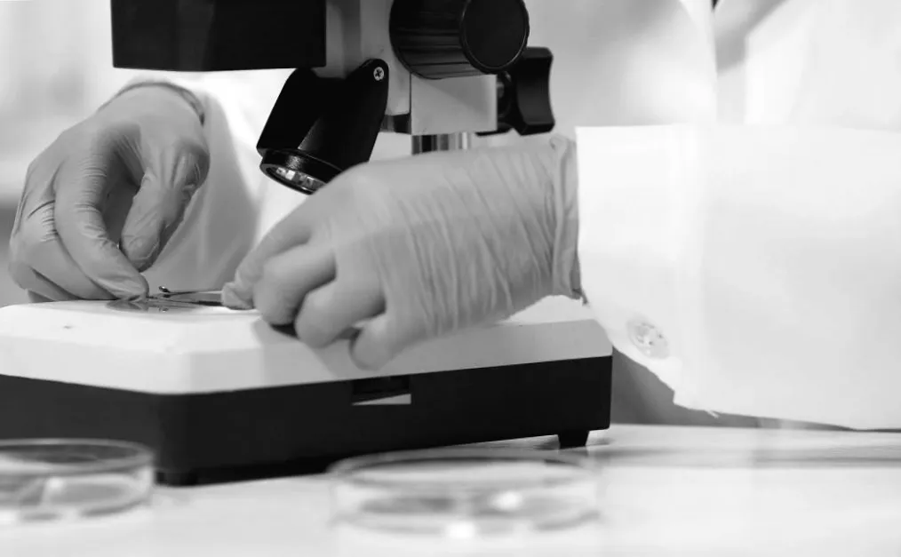 В Іспанії відкрито скарб 1963 року з таємничими предметами із зоряного металу