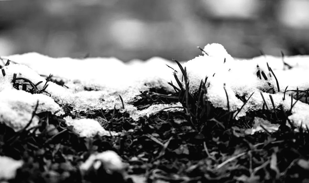 Сніг і дощ зміняться на потепління: що чекати від погоди в найближчі дні?