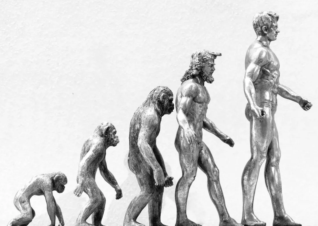 Навіщо люди втратили волосяний покрив: пояснення біолога