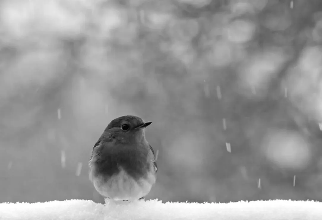 В Україну наближається довгоочікуване тепло, але з одним важливим застереженням.