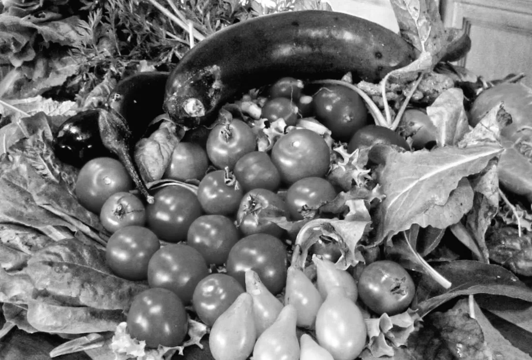 Щоб серце билося здорово: продукти, які обов'язково мають бути в раціоні щодня