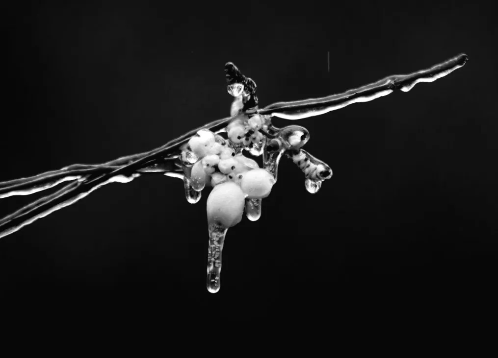 Одеська негода: синоптики попередили про жовту небезпеку