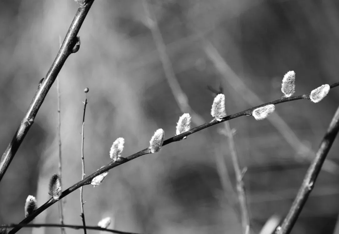 «Що підготувала погода для українців до кінця тижня: Прогноз від синоптика»