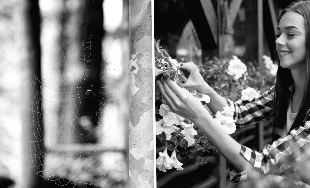 Таємний трюк господинь: чому на балконі корисно бризкати оцтом