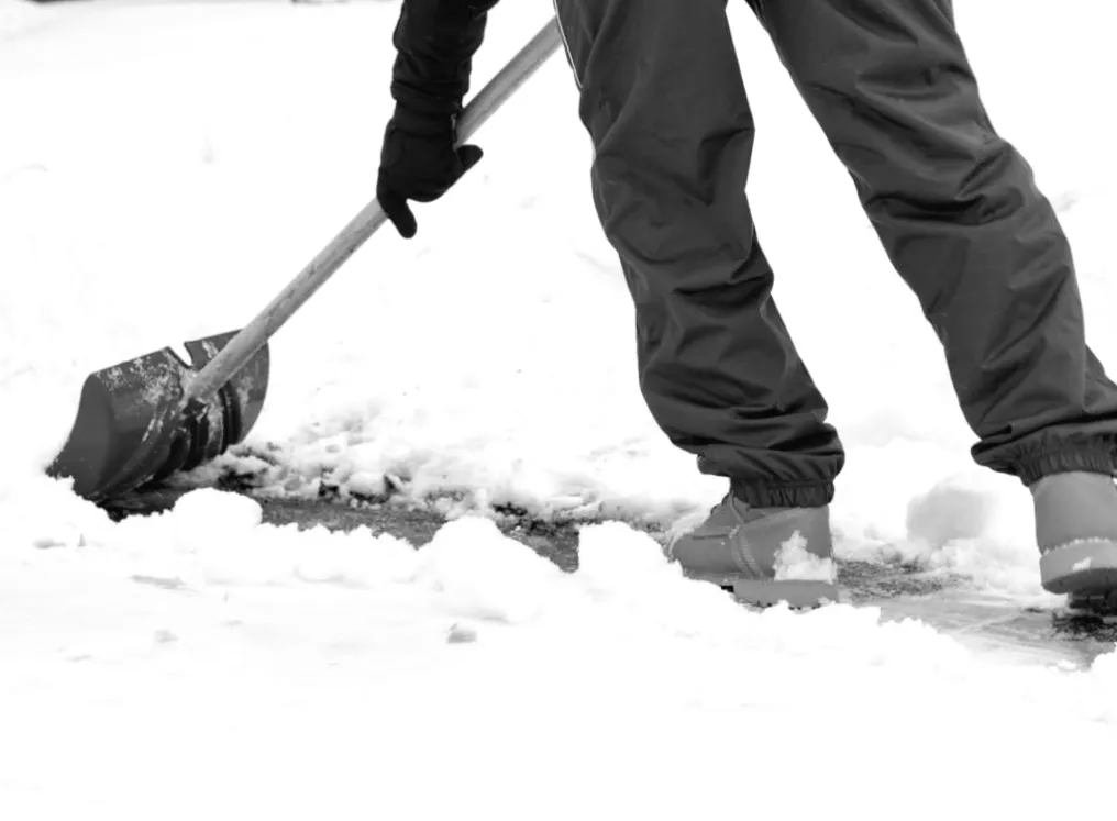 6 лютого Україну накриє змішана погода: сніг із дощем майже всюди